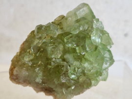 Groene apofyliet