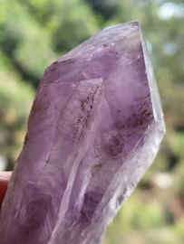 amethist  sugar scepter