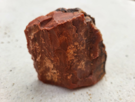 versteend hout