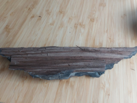 versteend hout reuzen sequioa met kristalletjes