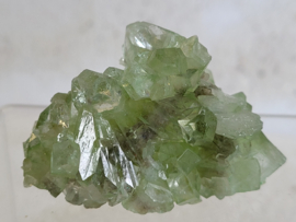 Groene apofyliet
