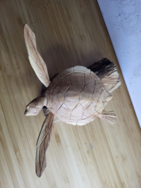 Houten Schildpad op stronk