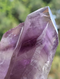 amethist  sugar scepter