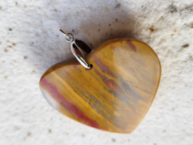 hart versteend hout