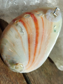 abalone schelp hanger met bergkristalletjes