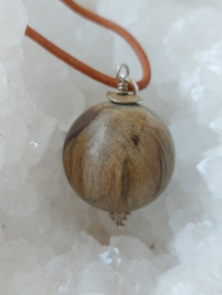 versteend hout hanger