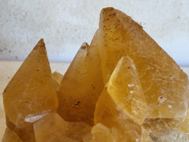 golden dog tooth calciet