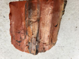 versteend hout
