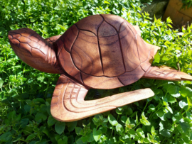 Fairtrade schildpad