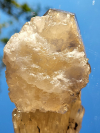 Kundalini citrien