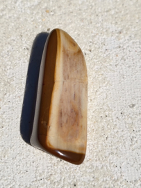 Versteend hout