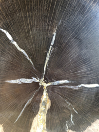 versteend hout op standaard