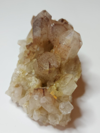 protector tangerine cluster