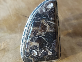Ring turitella agaat