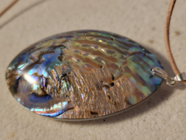 abalone hanger