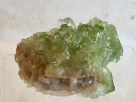 Groene apofyliet