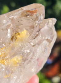 Sacred heart Lemurian