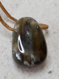 hanger versteend hout