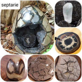 Blog Paranormaal Alternatief Septarie