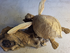 Houten Schildpad op stronk