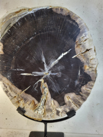 versteend hout op standaard