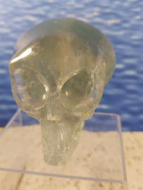 Alien skull fluoriet