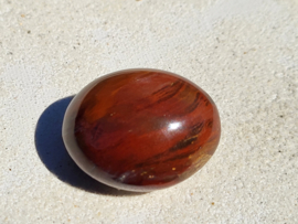 Versteend hout trommelsteen