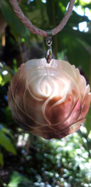 Abalone lotus hanger