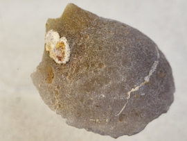 Agaat geode