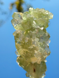Groene apofyliet