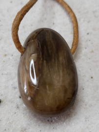 hanger versteend hout