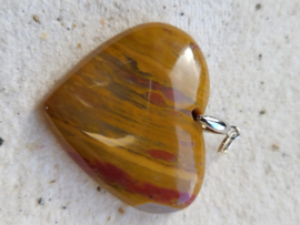 hart versteend hout