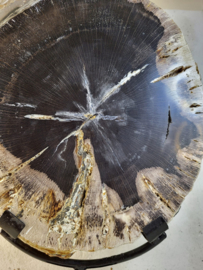 versteend hout op standaard