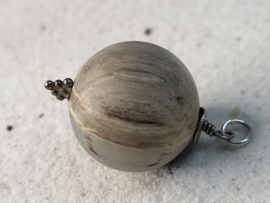 Hanger versteend hout