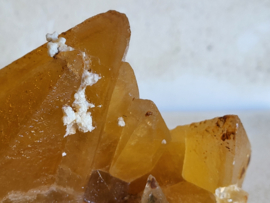 golden dog tooth calciet