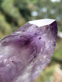 amethist sugar scepter