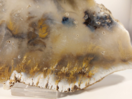 Grote slice (tijger) dendriet agaat