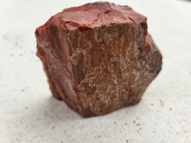 Versteend hout