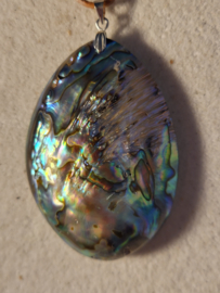 abalone hanger