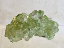 Groene apofyliet