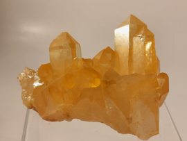 tangerine cluster