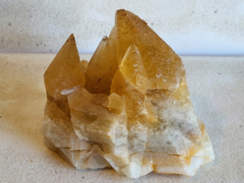 golden dog tooth calciet