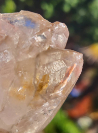 Sacred heart Lemurian