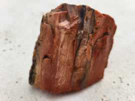 versteend hout