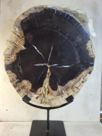 versteend hout op standaard