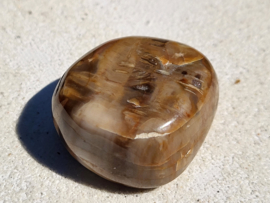 Versteend hout