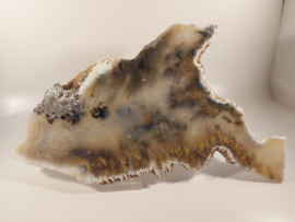 Grote slice (tijger) dendriet agaat