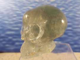Alien skull fluoriet