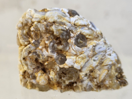 Agaat geode