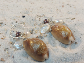 Oorbel Kauri schelp met zoetwaterpareltjes